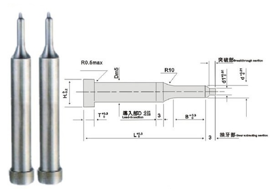 ステンレス鋼のダイスの穿孔器は標準外SKH40 HRC 60 PVDのコーティングをピンで止める